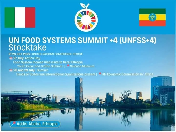 EthiopianNewsA's tweet image. #AddisAbaba Poised to Welcome Global Participants for UNFSS+4 as of Today
ena.et/web/eng/w/eng_…