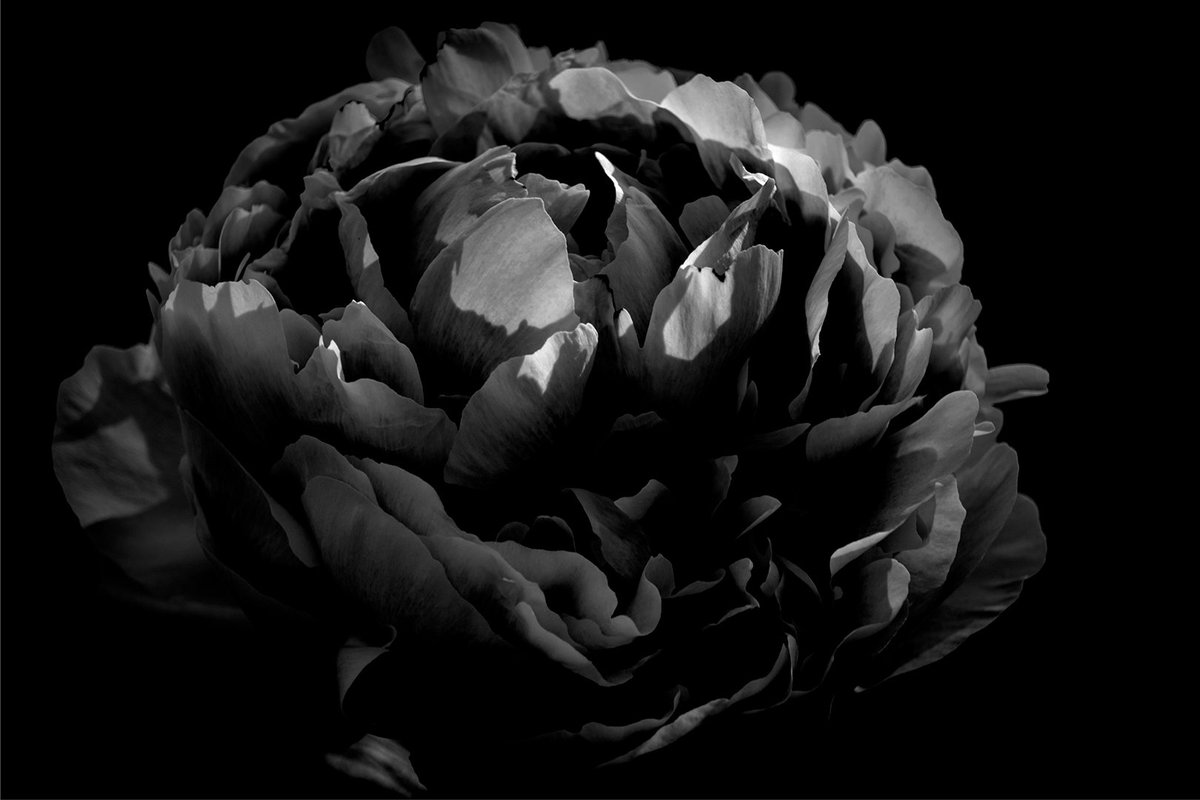 FotoGraaGH's tweet image. GM
"The true art of memory is the art of attention."
-Samuel Johnson
#Photography is pure and I do it with attention 📸
Enjoy the weekend 🤍
