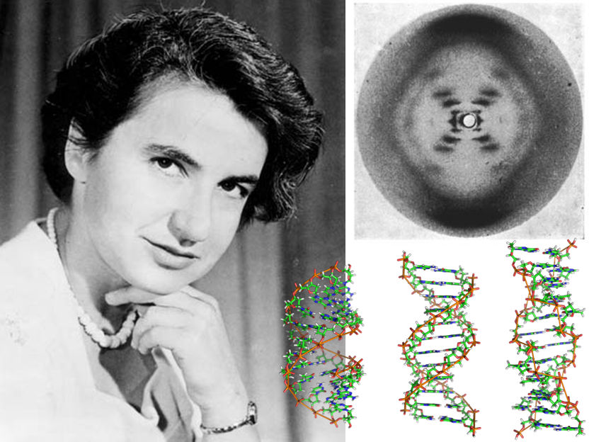 Indl_Learning's tweet image. &quot;Science, for me, gives a partial explanation for life. 
In so far as it goes, it is based on fact, experience &amp;amp; experiment.&quot;  
-Rosalind Franklin 
7/25/1920 Notting Hill, London, England 
4/16/1958 Chelsea London, England
#OTD #sciencetwitter #WomenInScience #womeininSTEM #STEM