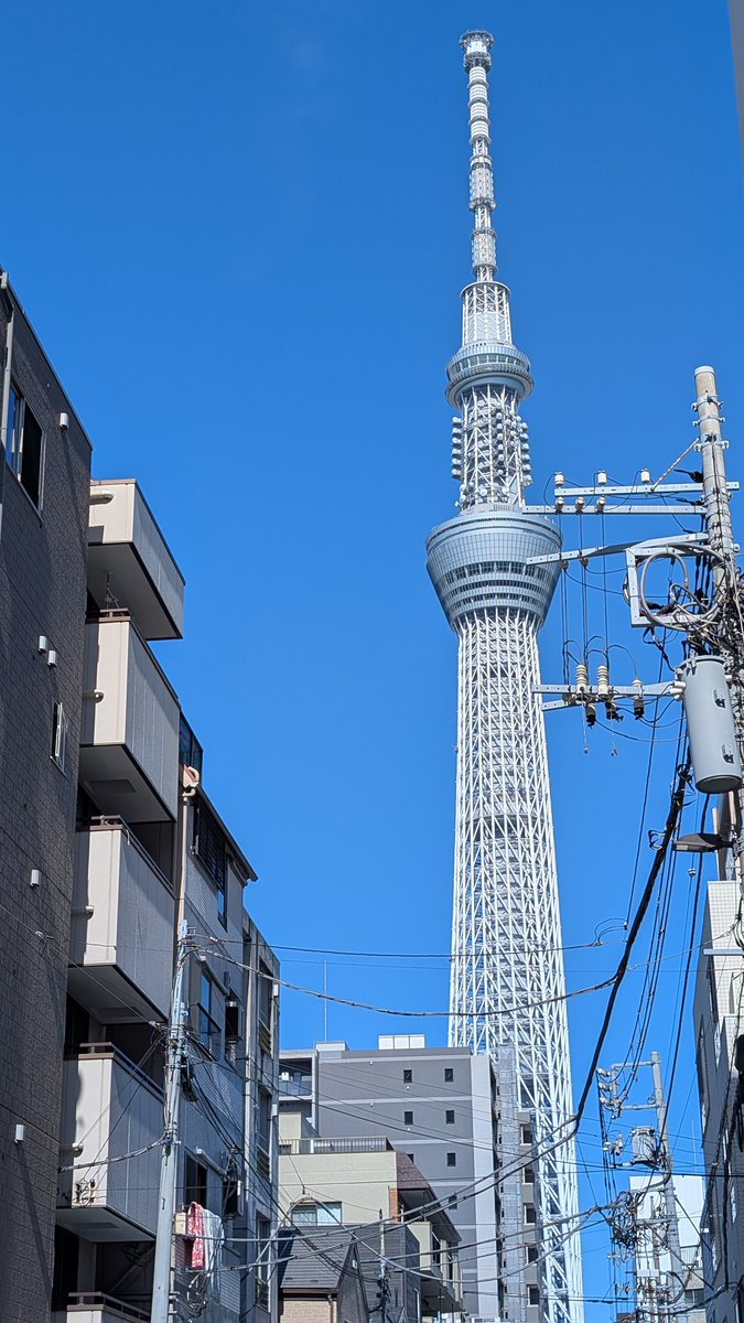 d07soe's tweet image. 暑いですねぇ
