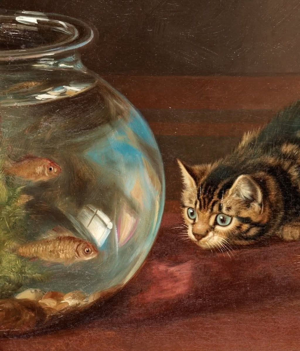 GiuseppeTurrisi's tweet image. Cat by a Fishbowl, 1862

🖌 Horatio Henry Couldery

#caturday #artlovers #catart #arteyart #cats 

@catisthecatch @lagatta4739 @BrindusaB1 @archivetro @commence_vie @albertopetro2 @LRonLacy @Biagio960 @redne2013 @DavLucia @dianadep1 @luciatassan @AnnaCountessK @CaterinaCategio