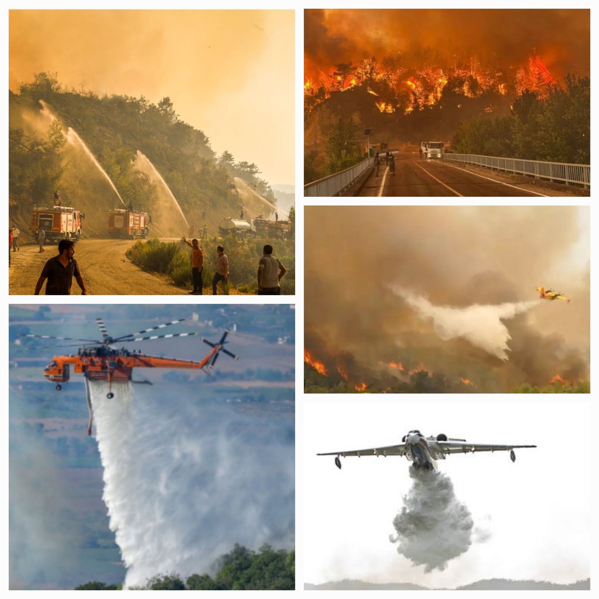 Tarım ve Orman bakanlığının açıklamasına göre 2025 yılının ilk yarısında ülkemizde 1000'in üzerinde orman yangını çıkmış, on binlerce hektarlık orman alanı yok olmuştur. Yangınların %90’ı insan kaynaklıdır. Bu, artık bir ihmal değil; doğrudan bir sabotaj ve cinayettir.

Ormanları