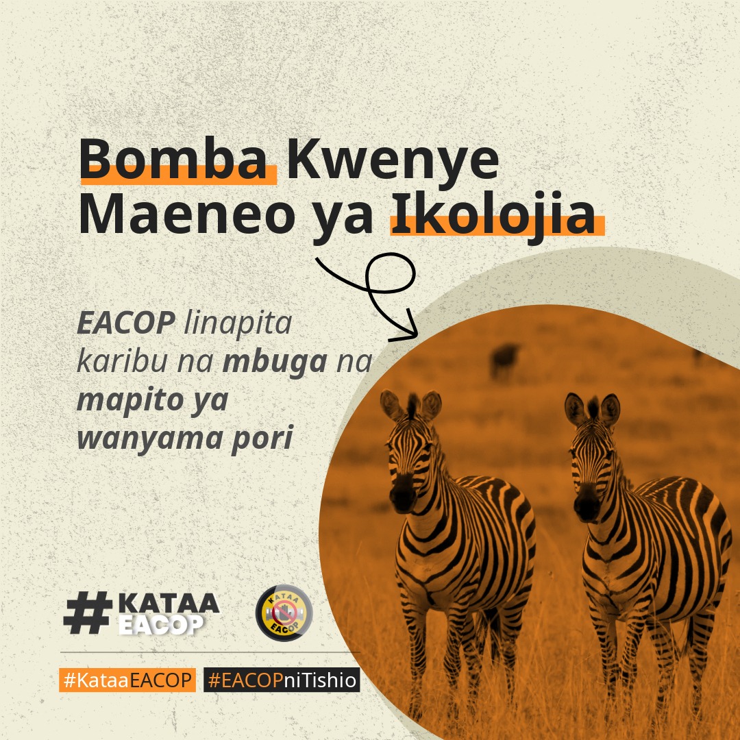 JoelyMsuya's tweet image. Mradi wa bomba la mafuta la Keystone XL Marekani lina, Urefu wa km 1,900 za Kusafirisha mafuta ghafi kutoka Alberta, Kanada hadi Texas, Marekani. Mradi ulisimamishwa na kufutwa mwaka 2021 kwa sababu za mazingira na upinzani wa umma #KataaEACOP #EACOPniTishio..
