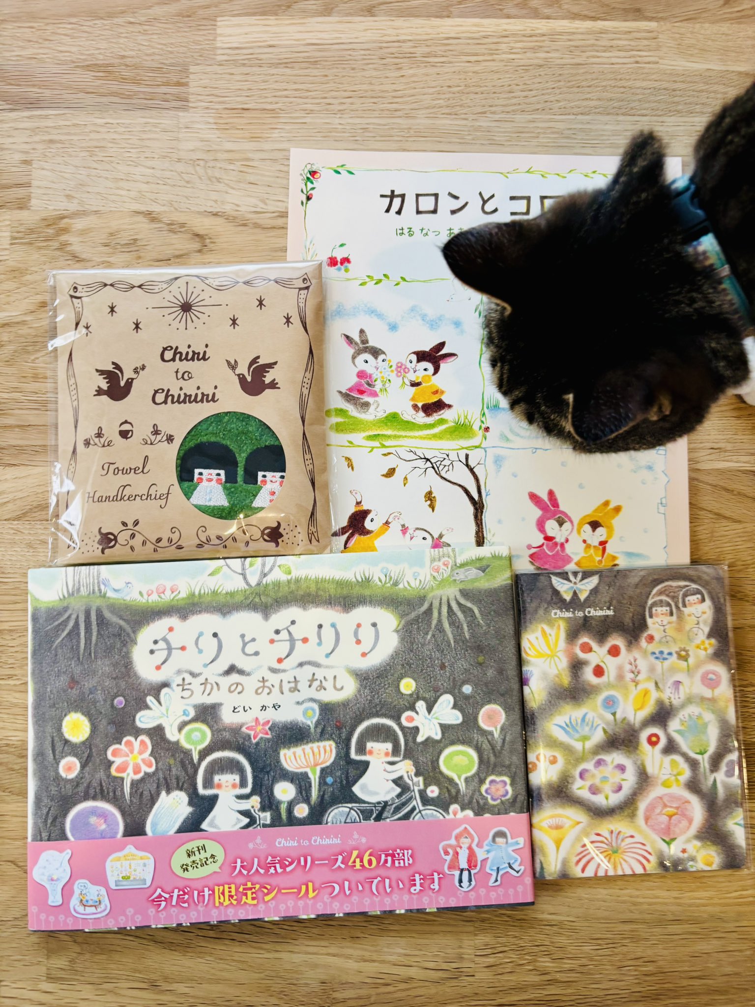 ❤絵本好き(❀ᴗ͈ˬᴗ͈)\"　お話366 1月1日～6月30日まで 一日一話・読み聞かせ おはなし366 前巻: 1月1日~6月30日
