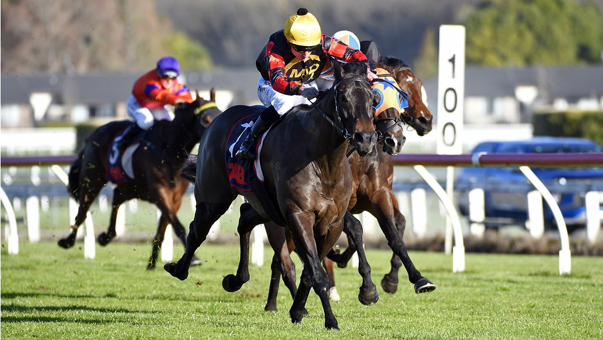 NZ Racing News (@nzracingnews) on Twitter photo NEWS: <a href="/MilanParkStud/">Milan Park Stud</a> four-year-old Force Of Nature made it five wins from five starts at <a href="/TeRapaRacing/">Waikato Thoroughbred Racing</a> when he strolled home in the Woods Contracting 1300 (1300m) on Saturday.
racingnews.co.nz/force-of-natur… NEWS: <a href="/MilanParkStud/">Milan Park Stud</a> four-year-old Force Of Nature made it five wins from five starts at <a href="/TeRapaRacing/">Waikato Thoroughbred Racing</a> when he strolled home in the Woods Contracting 1300 (1300m) on Saturday.
racingnews.co.nz/force-of-natur…