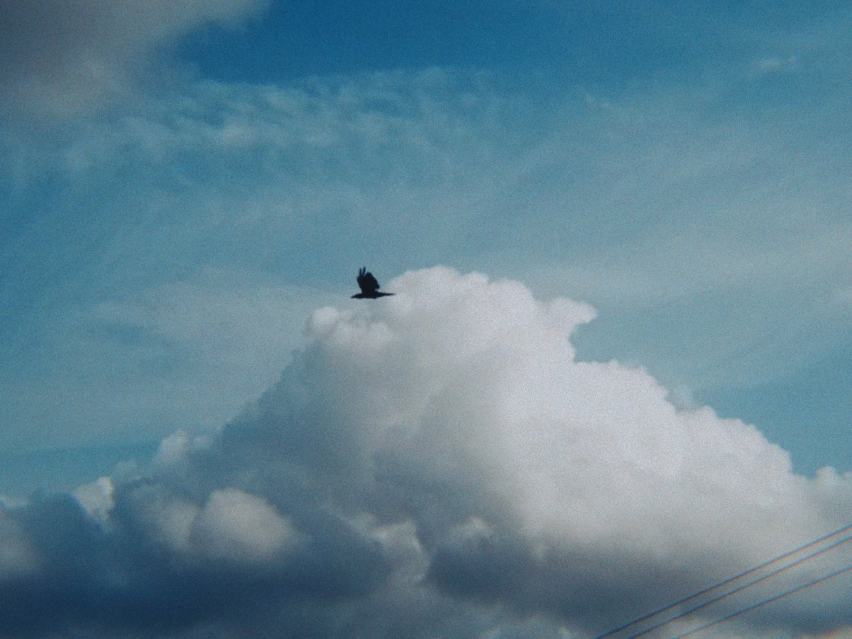 arthextic's tweet image. do you ever look at the clouds so randomly just to feel that momentary bliss?