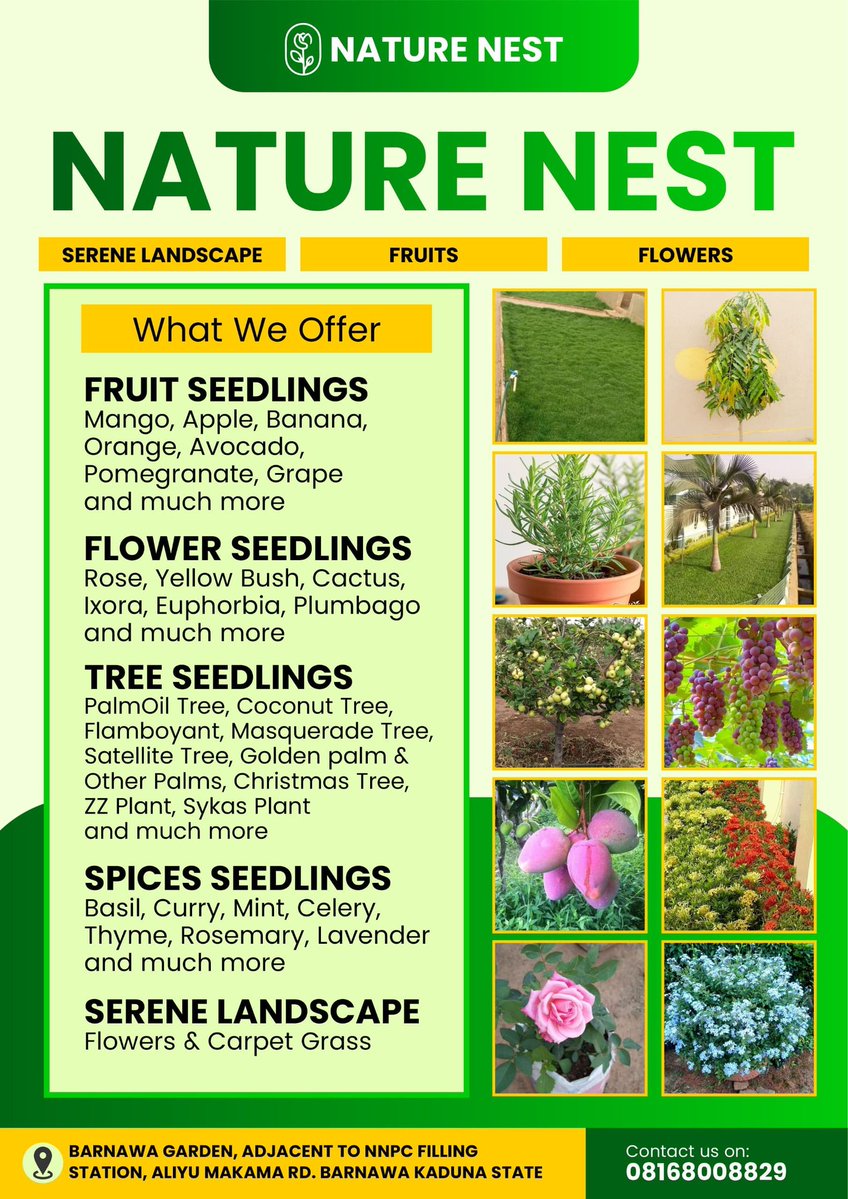 IsahDallatu's tweet image. Nature Nest wishes you a plant-tastic weekend 🌟🌿! Call/WhatsApp 08168008829 to explore our seedlings collection. 🌱💚