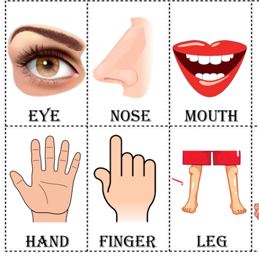 SITCOMRADES's tweet image. Tune In Today Saturday 5pm to @futureradio Comedy Lovers Guide ' Body Part Noises' Tip Top Tunes, Funny Sketches + New Ep. Of Sci Fi Comedy Drama Dr Witch? @_MelissaStanton @CultOfBritCom @PodCatflappo @Write_On_Comedy #saturdayfun futureradio.co.uk/futureplayer/r… #Radio Stay Classy