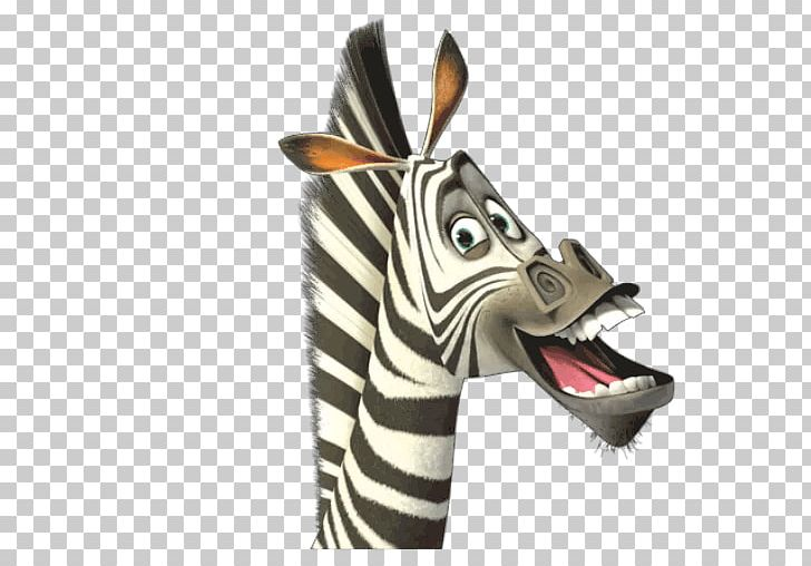 vazz24's tweet photo. Marty from Madagascar https://t.co/gtWp65Lmcj