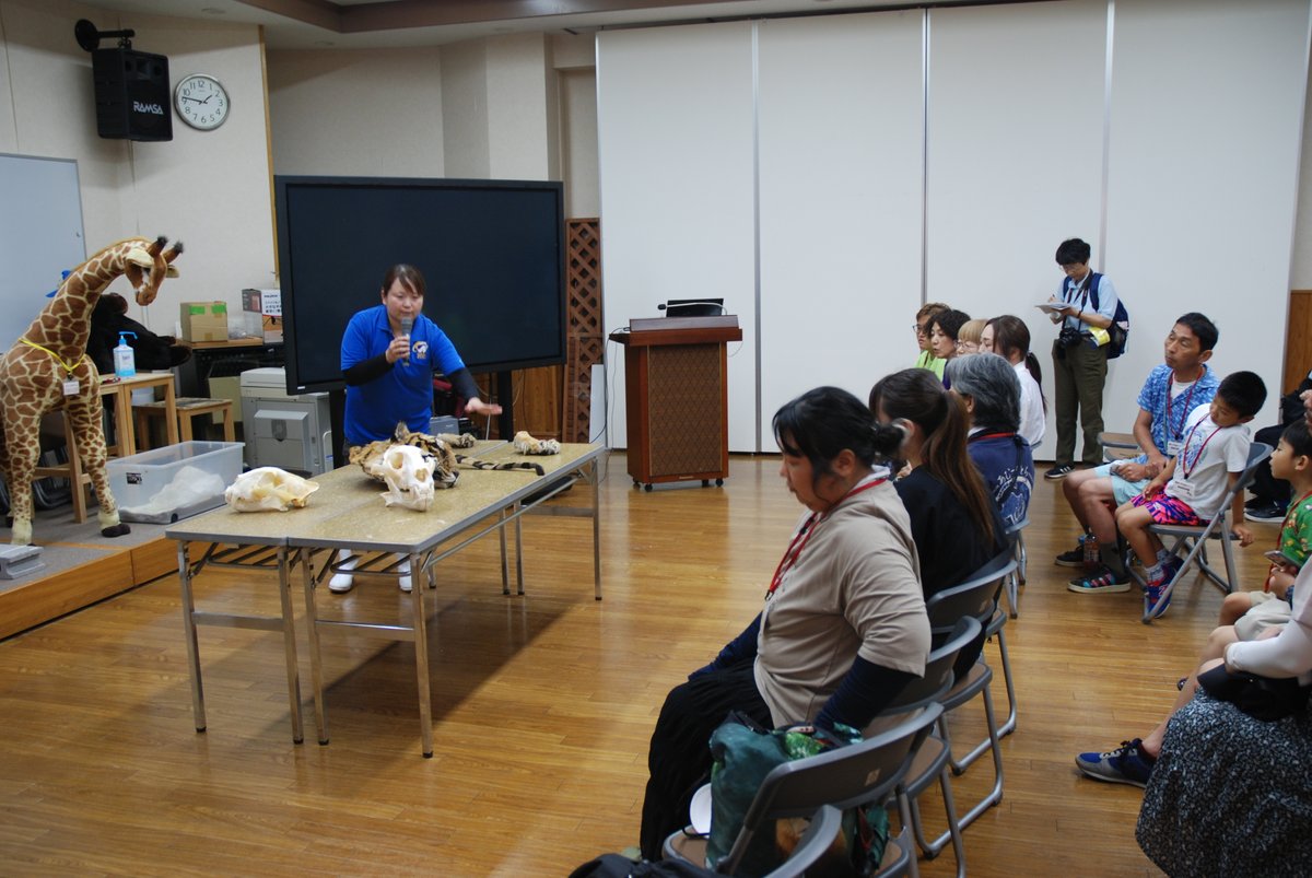 ishikawazoo_jp's tweet image. 本日、当園初となる「トラの日」のイベントを行いました🐯
暑い中でしたが、たくさんの方にご参加いただきました。
毛皮や頭骨など、普段は触れない標本にみなさん興味津々で触ったり、写真を撮ったりと大変喜ばれました。
#いしかわ動物園
#トラの日
#ベンガルトラ
#ホワイトタイガー 
#アムールトラ