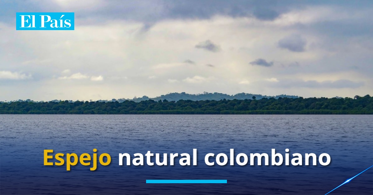 elpaiscali's tweet image. 👉Conozca el municipio que posee unos de las cienagas más impresionantes de Colombia: ow.ly/qME550Wvz8p