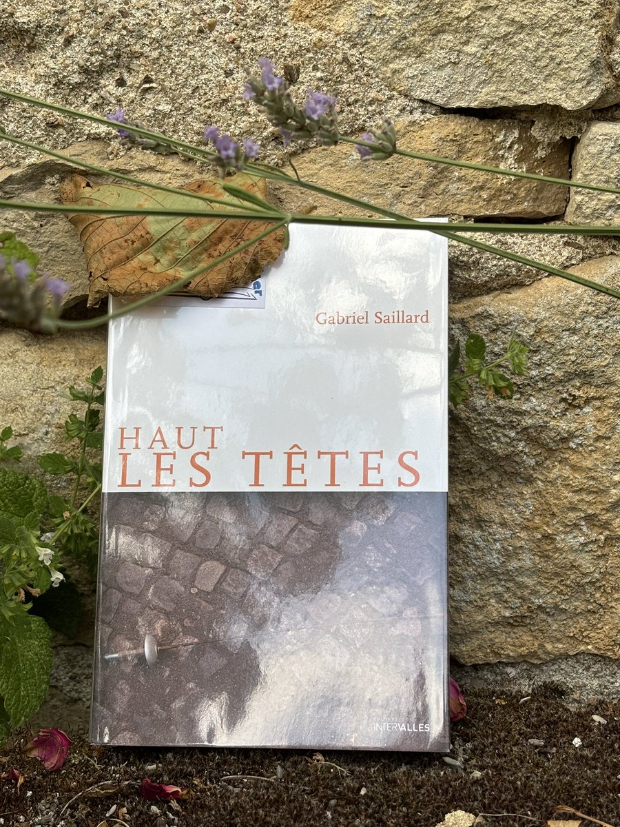 LoicKervran18's tweet image. L’été c’est le temps de la lecture! Deux romans que je vous conseille pour comprendre le #wokisme et la menace qu’il fait peser sur la liberté de création en particulier et la liberté en général.