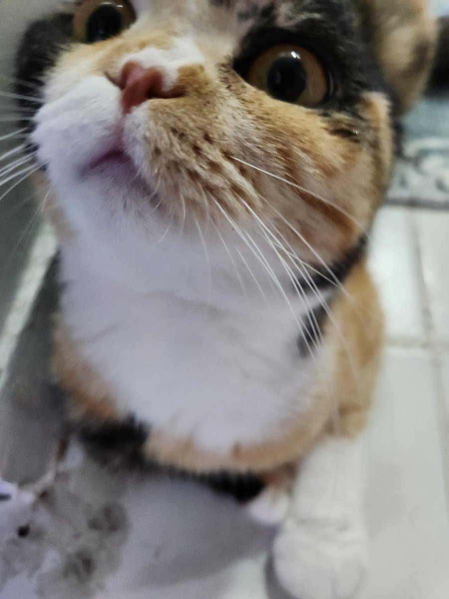 Kurisushii's tweet image. Klima açan otobüş şöförleri reel 👇

Sizde böyle olmak istiyosaniz klima açın 

El Psy Kongroo