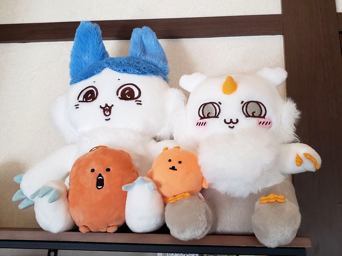 YM_FA_ACC's tweet image. 来た‼️