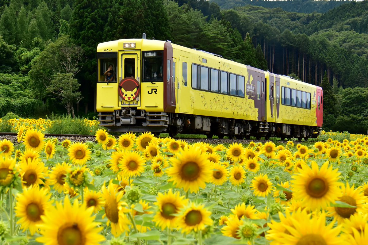 きたかみ線人峠 tweet media