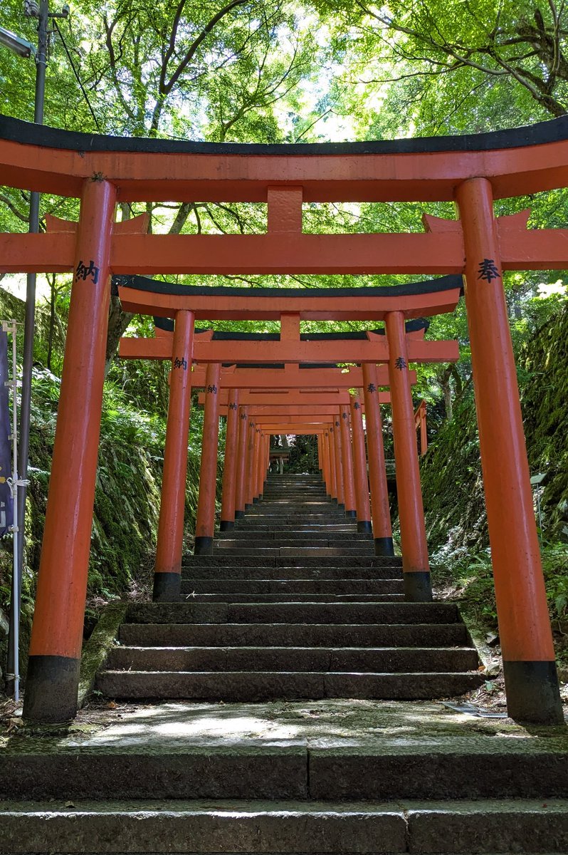 etoogaku's tweet image. 出石城内の有子山稲荷
仙石氏が藩主の頃、首の毛が白い首白孫左衛門という狐がいた。仙石氏のお気に入りで、人間に化けて使者をしていたが家臣の妬みを買い、毒入りの鼠を食べて死亡した。後に仙石氏は孫左衛門の死を悼み城内に稲荷社を建てたという。
ちなみに城内には稲荷社が3つあります。多。