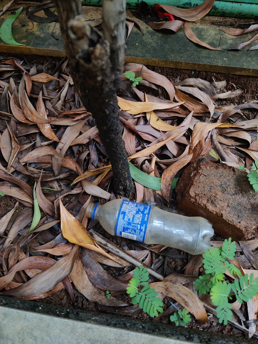 public_pulseIN's tweet image. This picture is from my colony garden.
Forget the civic sense, Indian parents have failed at teaching kids the basics-don’t litter.
And this is a “good” housing society
If this is the standard at the top, what example are we setting for the rest?
Kaise banega India #swachh?