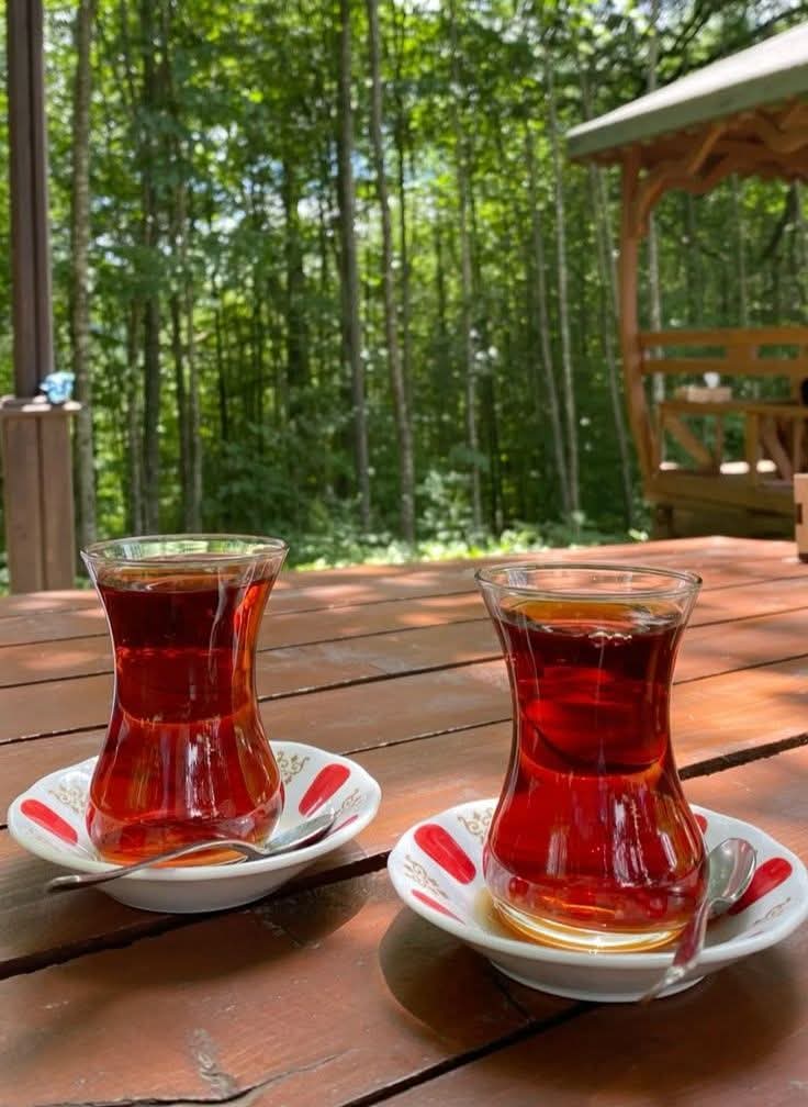 Sah60Ozlem's tweet image. .
Beni dinyen birine değil anlayan birine ihtiyacım var .
Ben kendimle konuşuyorum zaten ...