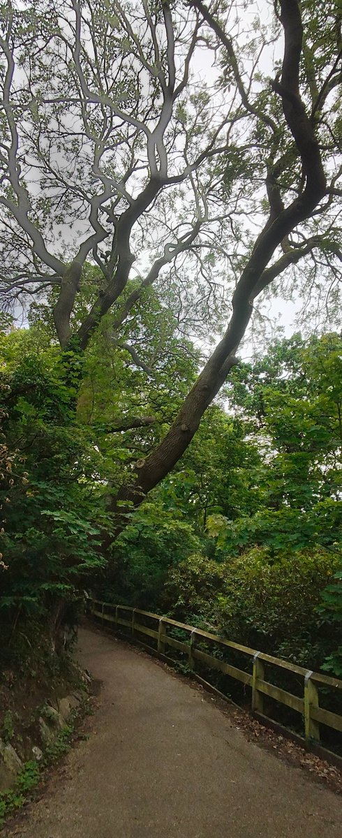 Jesmond Dene parkrun tweet media