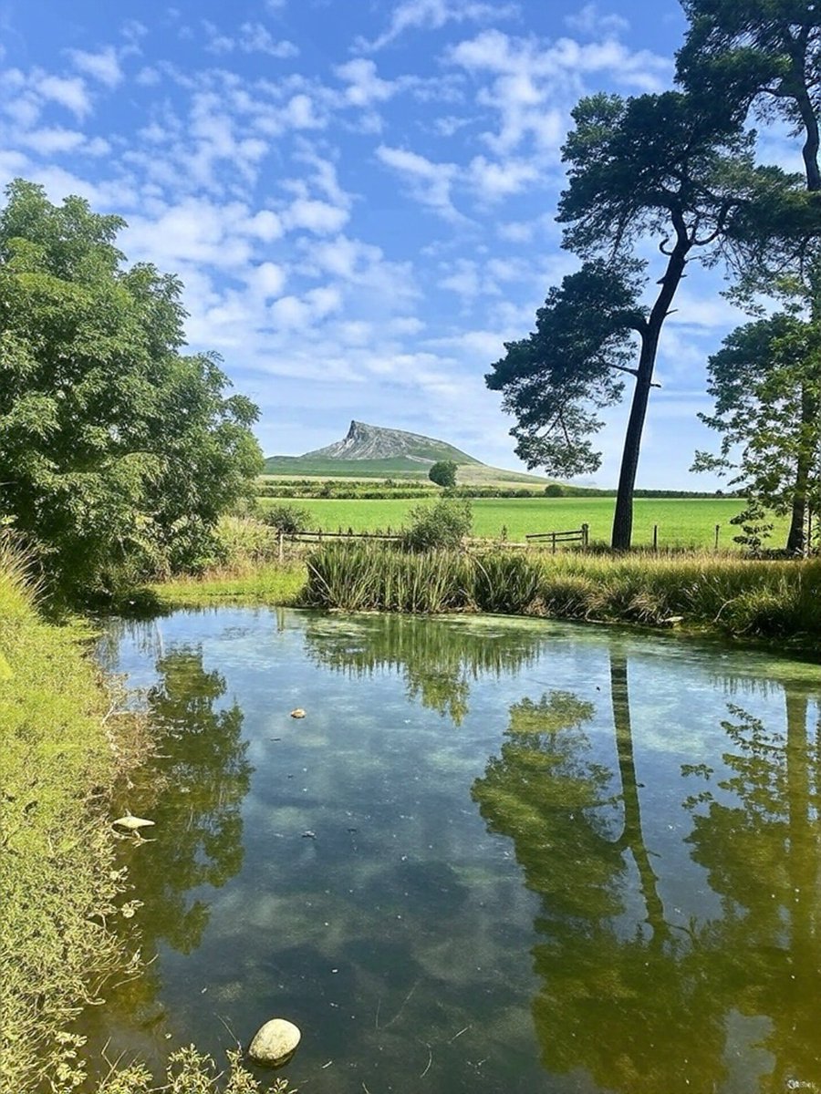 Nicky13Johnson's tweet image. Wishing you a wonderful weekend from Roseberry Topping, North Yorkshire 馃槉