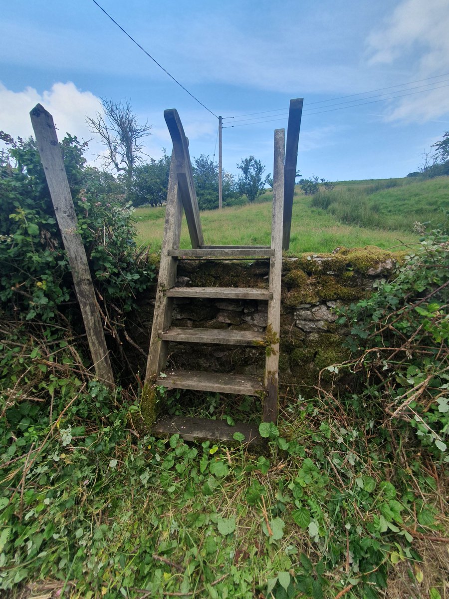 563 Aldo (@563aldo) on Twitter photo #stilesaturday
Some stile clearing on Thursday in Hartley near Kirkby Stephen.
<a href="/VisitUpperEden/">Kirkby Stephen & Upper Eden Visitor Centre</a>
<a href="/VisitEden/">Visit Eden</a>
#cumbria #stilesaturday
Some stile clearing on Thursday in Hartley near Kirkby Stephen.
<a href="/VisitUpperEden/">Kirkby Stephen & Upper Eden Visitor Centre</a>
<a href="/VisitEden/">Visit Eden</a>
#cumbria