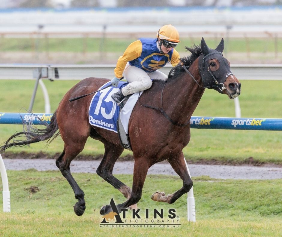 terry_hann's tweet image. Silent Emmy, ridden by @MilnesRochelle, won the Dominant Handicap at Morphettville for @williamclarken & Niki O'Shea.
Photos ~ AtkinsPhotography.com.au
Pre-race photos ~ AtkinsRacing.com.au
@RacingSA @SAJockeyClub @deanpet74 @pinknickerton @clarken_racing