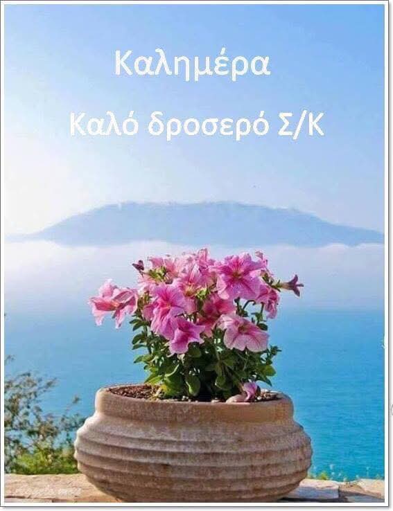 georgioskallia3's tweet image. 