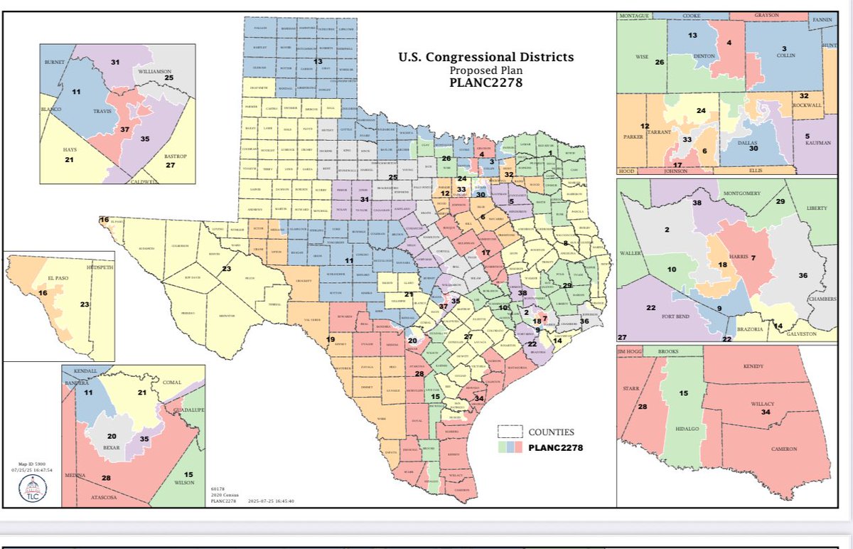 JoeyMauro1's tweet image. What Texas is doing is horrible, however, they convert all of their submissions into these maps with neat graphics. They are going to draw their own gerrymander anyway, so might as well submit a map to them to get these nice maps