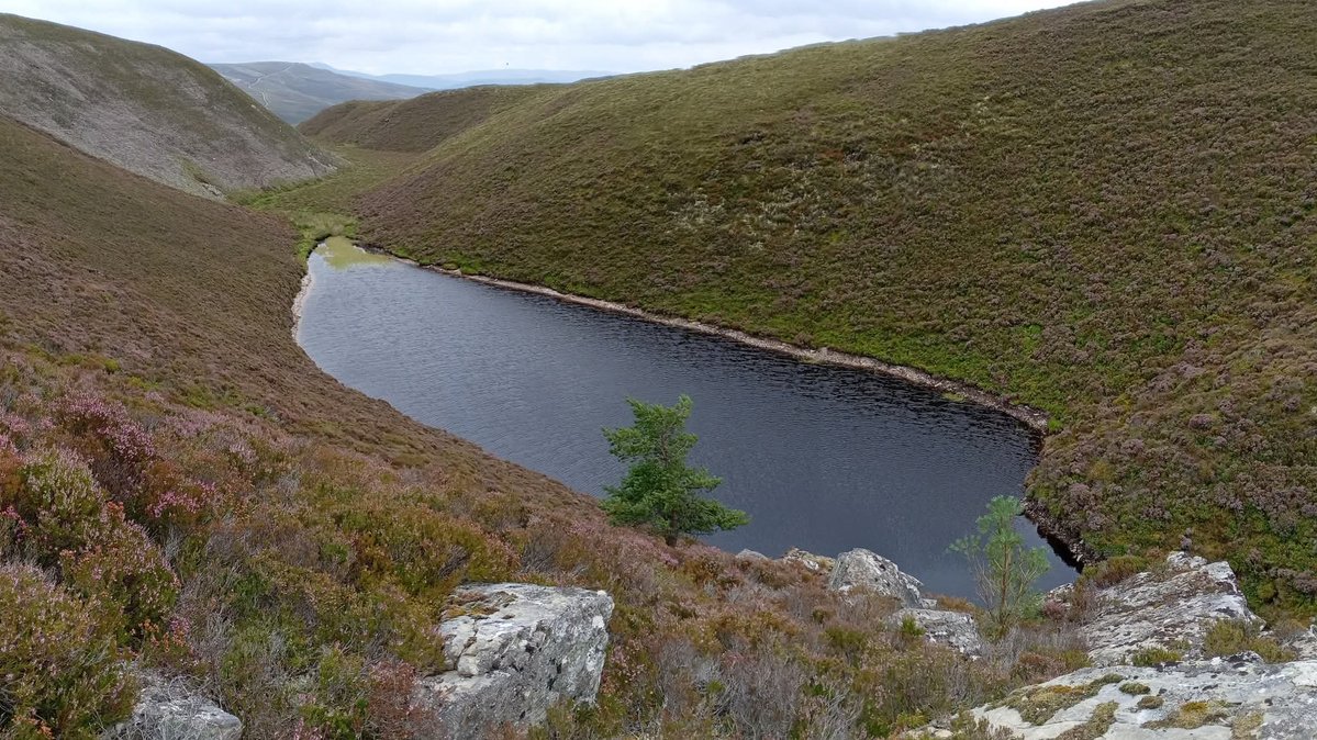 GaelAmadan's tweet image. Oidhche mhath folks, I'm calling it a day,enjoy the rest of your evening, see you tomorrow, stay safe,sleep well.
1. Black Loch, miles into the Dava moor and surrounded by hills.
2.East Sands, St Andrews.
3.Sunset at the Stirling Old Bridge.
4. St. Monans pier, East Neuk of Fife.