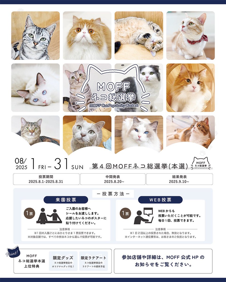 Moff animal cafeイーアスつくば店 tweet media