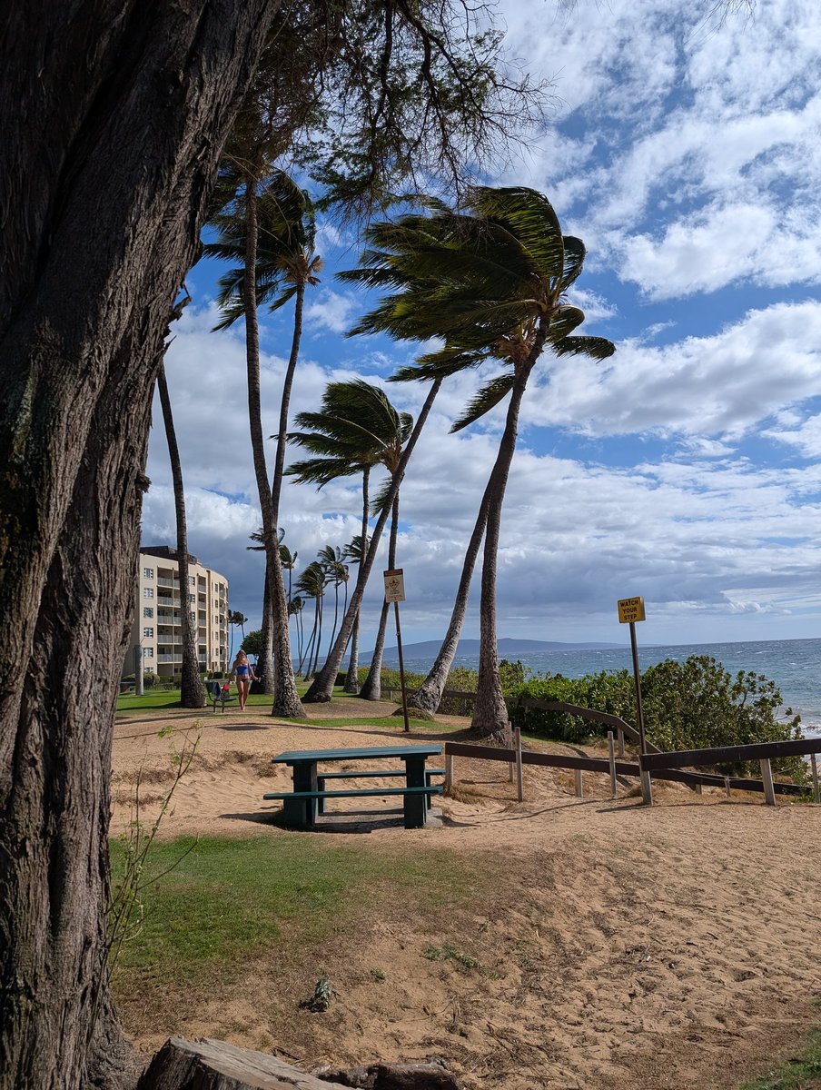 Ruastin @ ? tweet media