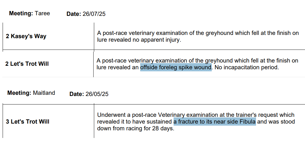 susanamet's tweet image. Taree (NSW) this morning. in separate races "Kasey's Way" and "Let's Trot Will" both "fell at the finish on lure". Let's Trot Will suffered a foreleg spike wound. On 26 May he suffered a fractured Fibula at Maitland
#bangreyhoundracing
thedogs.com.au/attachments/ey…