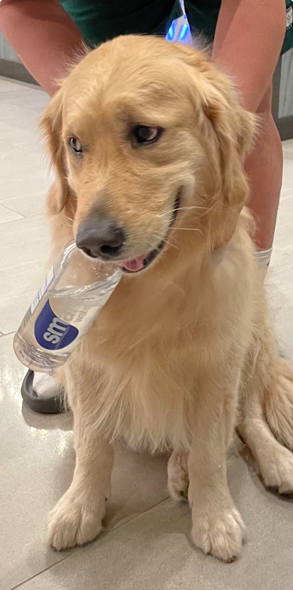 Purpman123's tweet image. Stay hydrated. Mainnet soon.