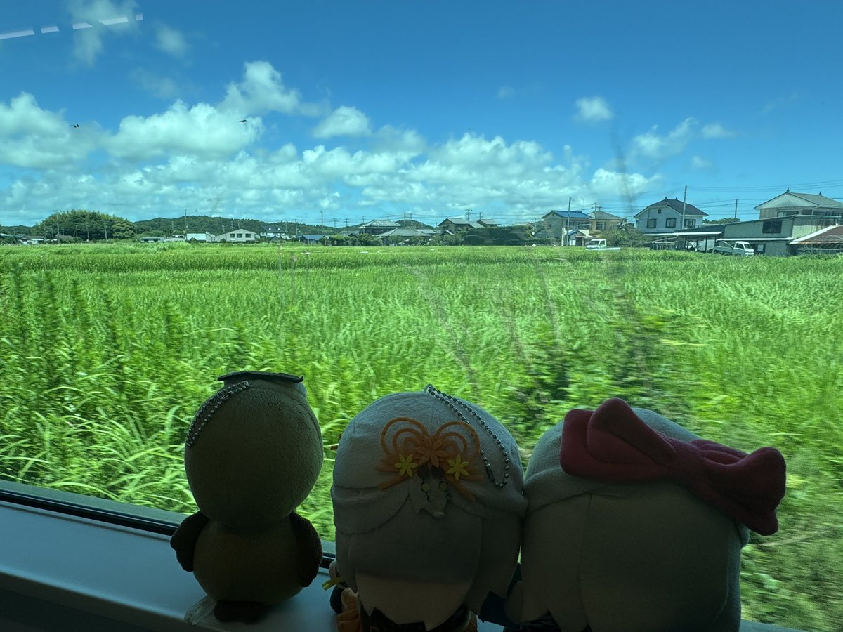onasu19730801's tweet image. 🍡🍊)もう、電車に乗ってますの👀
ごめんね😅
本当は、みなたん🍮食べさせてあげたかったんだけど、ぽかさんも忙しいもので😭
それ以上にこの暑さで自転車🚲漕いだら倒れますわ🤣
#いずみんといっしょ
#まひろウといっしょ
#千倉駅