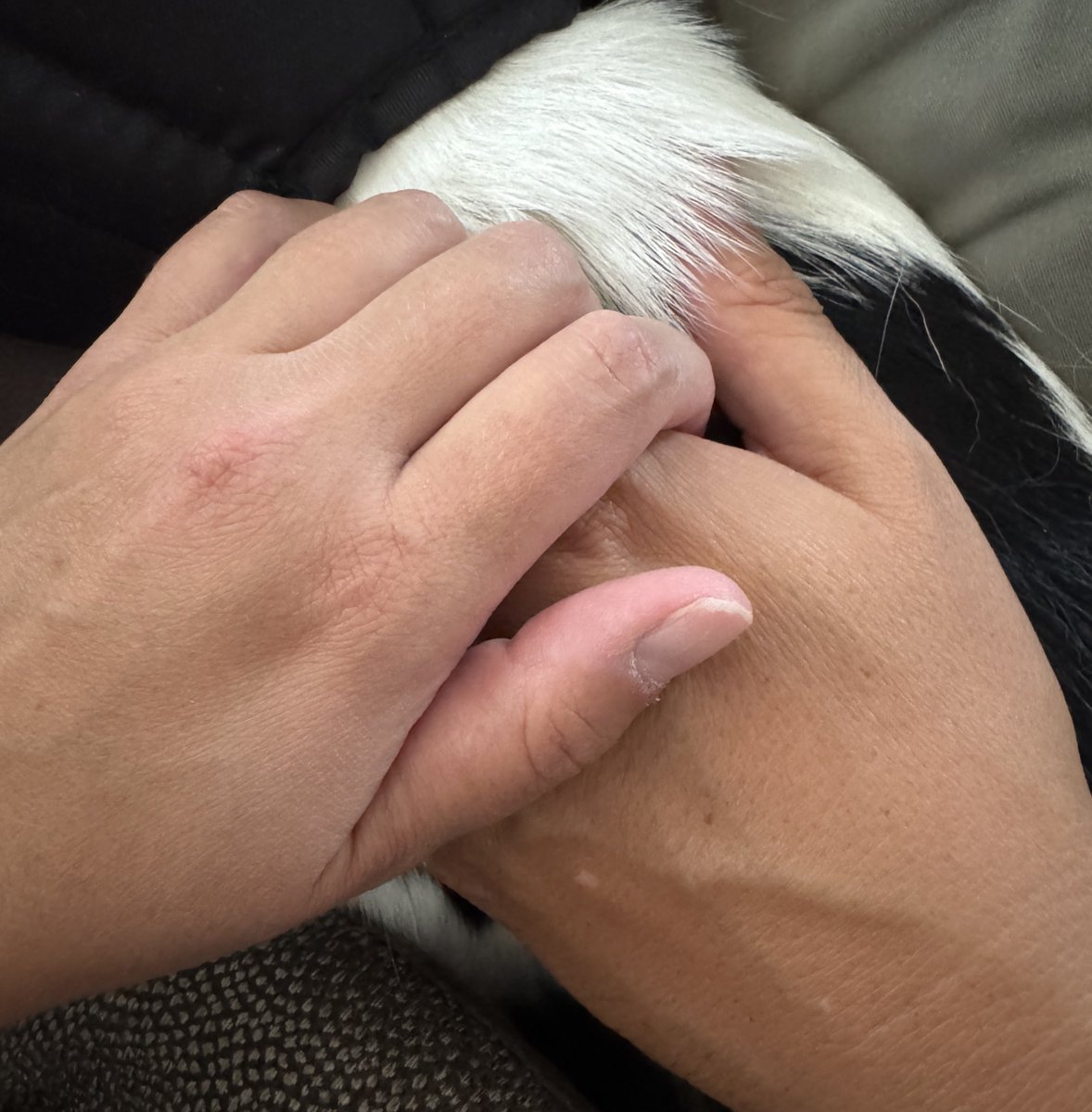 Eight months.
One spring break.
Countless late nights, 
deep breaths, 
and quiet little moments later
that made coming back feel right.

Him.