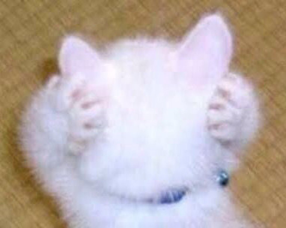 purrjas's tweet image. &quot;god i wish you luck ...&quot; -&amp;gt; yeah...... Yeah....ive been playing since release and hit a dry spell over the last year but the sirens are So fucking Loud Right Now...... jasspurr.straw.page