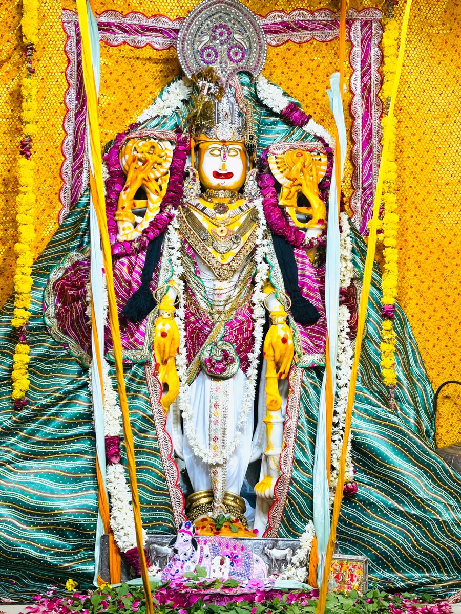✨🌷हरी ॐ आज दिनांक 26-7-2025 दिन शनिवार संवत 2082  सावन शुक्ल पक्ष द्वितीया दोज तिथि को श्री कल्याण जी महाराज श्रृंगार झांकी दर्शन डिग्गीपुरी