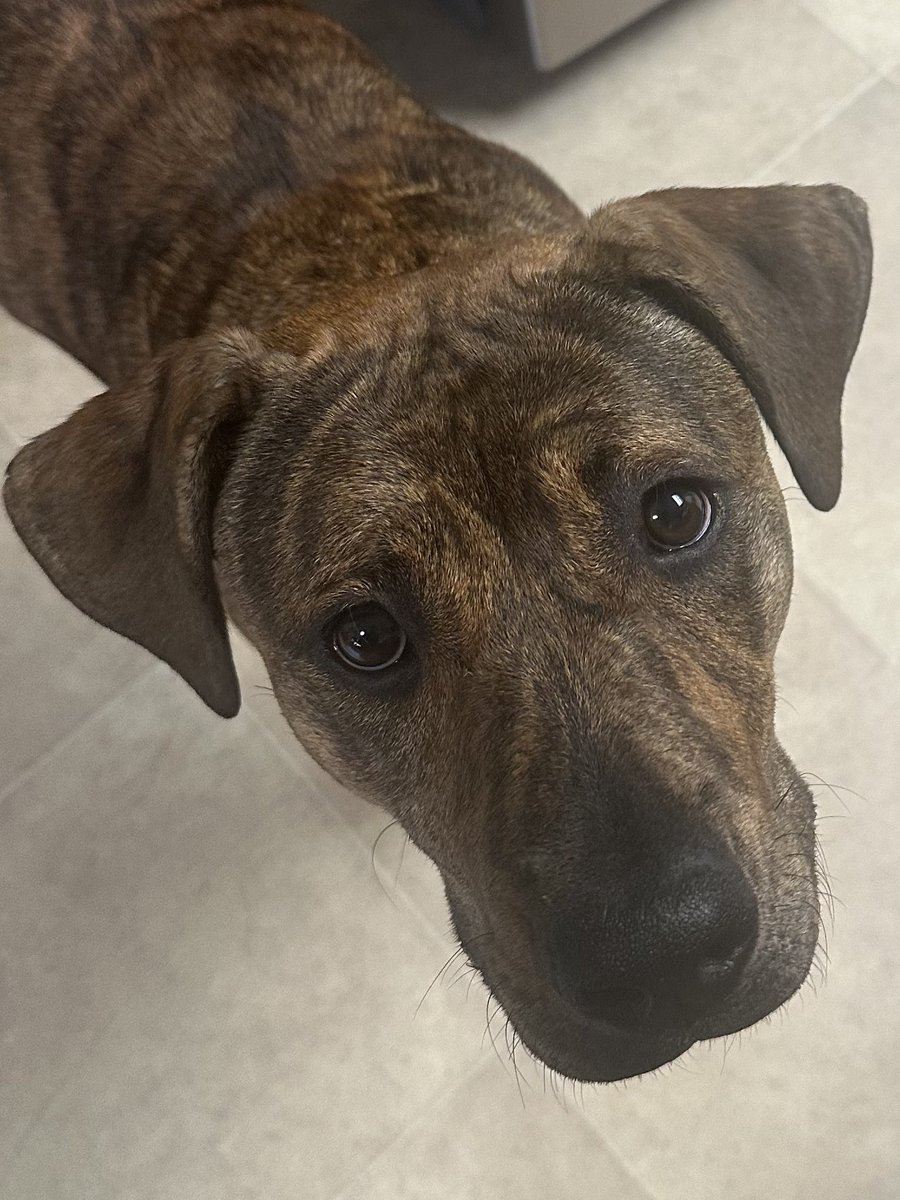 PhoneYourFrien1's tweet image. Her: Momma, can I have a bite?
Me: you can have all the treatie-treaties in the world 🥹❤️ #Milan