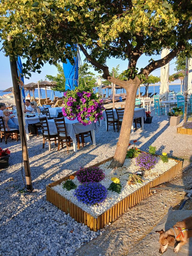 AnaitBalikian's tweet image. 🌿💜🌿💜🌿💜🌿💜🌿💜🌿💜🌿💜🌿
💜🌿💜🌿💜🌿💜🌿💜🌿💜🌿💜🌿💜
GREECE ΠΛΑΤΑΜΏΝΑΣ💜🌿💜🌿💜
GOOD MORNING🌿💜🌿💜🌿💜🌿
ΚΑΛΗΜΈΡΑ ΜΕ ΑΓΆΠΗ, ΑΙΣΙΟΔΟΞΊΑ ΚΑΙ ΠΟΛΛΆ ΧΑΜΌΓΕΛΑ ❤️🥰❤️🌹❤️🥰
🌿💜🌿💜🌿💜🌿💜🌿💜🌿💜🌿💜🌿
💜🌿💜🌿💜🌿💜🌿💜🌿💜🌿💜🌿💜
