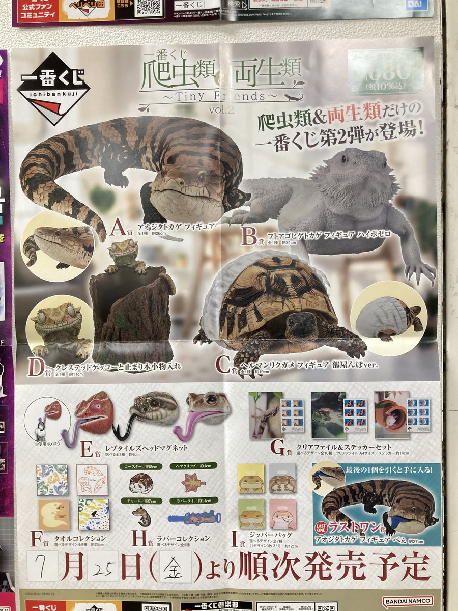 tamacenterten's tweet image. 【くじ販売】
一番くじ「爬虫類&両生類~Tiny Friends~vol.2」680円(税込み)
残り17枚!!
回数制限はございませんのでお気軽にどうぞ!!
#爬虫類両生類~TinyFriends~vol2
#一番くじ爬虫類両生類
#爬虫類両生類