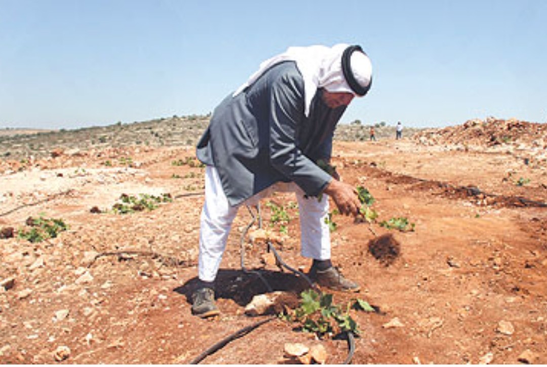 assi_aroq's tweet image. نعم نحن فلاحين فلسطين ،، احنا الكادحين ،، احنا العمال ,, احنا اصحاب الحق والارض معاً
نحن ملح الارض وترابها،،، نحن اغصانها وجذورها ..نحن ثمارها وعناقيدها ..
نــحـــــن فلســـــــــــطين ✌️🇵🇸

#غزة
#الضفة_الغربية_المحتلة
#فلسطين_المحتلة