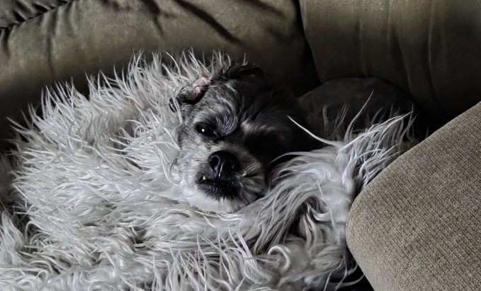 _TheBBQBarn's tweet image. The face you make when you&apos;re ready for bed