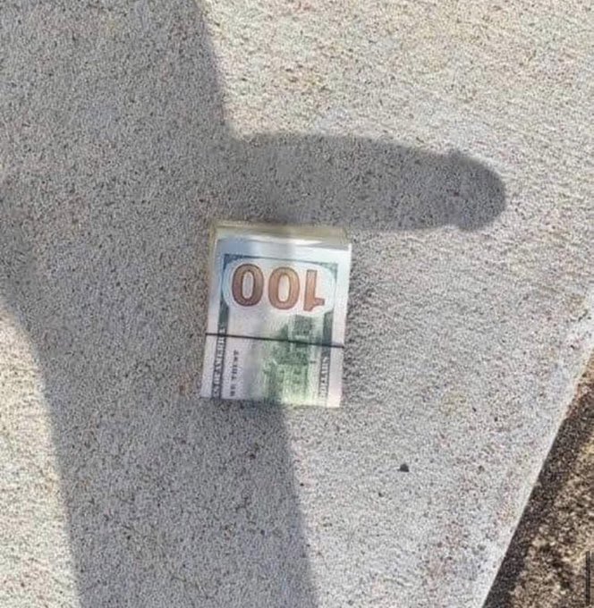 SNORKELZ0x's tweet image. If you find it, you will return it to its owner ?