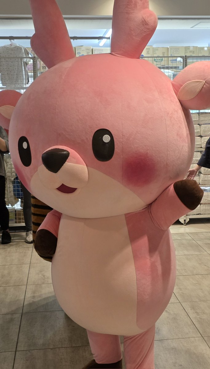 IWASHIKA0410's tweet image. 今日はオーケーみなとみらい店にイワシカちゃん、うな次郎くんが登場しました！