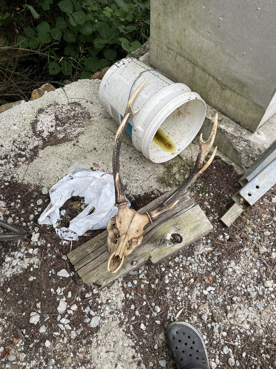 Shinkai_OGINO's tweet image. 電波の届かない発掘体験終了．
川に落ちていた．