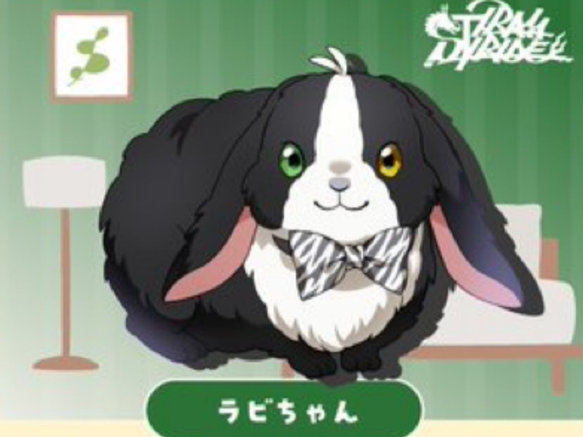 FromArgoBot's tweet image. Rabi-chan listened to Dachi friend so much that they got sick of it.