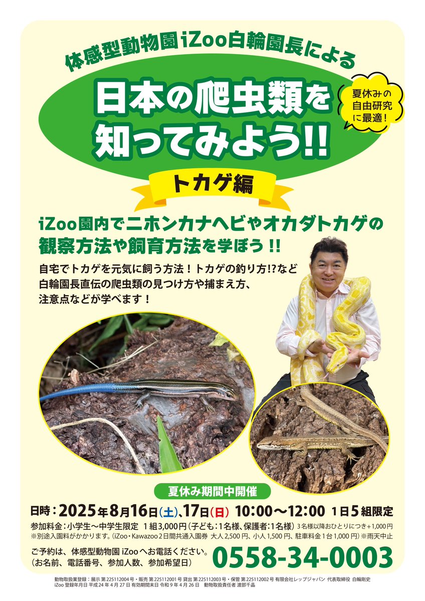 iZoo_iZoo_'s tweet image. \\日本の爬虫類を知ってみよう//
iZoo 園長に教わる…
【夏休み☀️スペシャル企画🦎】です‼️

園内での野生のトカゲの観察方法や
飼育方法を園長から直接学べます✨

8月16.17日の2日限定です。
※応募はお電話で先着順となります。
#爬虫類