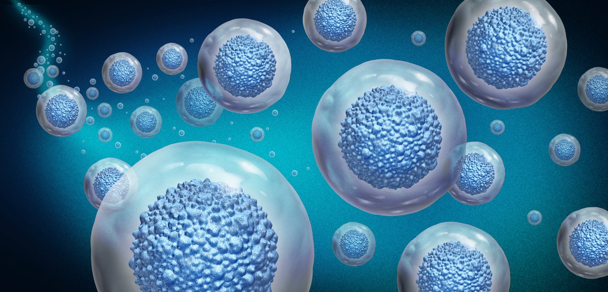 Science_Academy's tweet image. Could tissue engineering harness the power of machine learning to help extend human longevity and improve health outcomes for aging populations? The @Sydney_Uni Tissue Engineering meets Ageing & Artificial Intelligence workshop will explore the progress and potential in the…