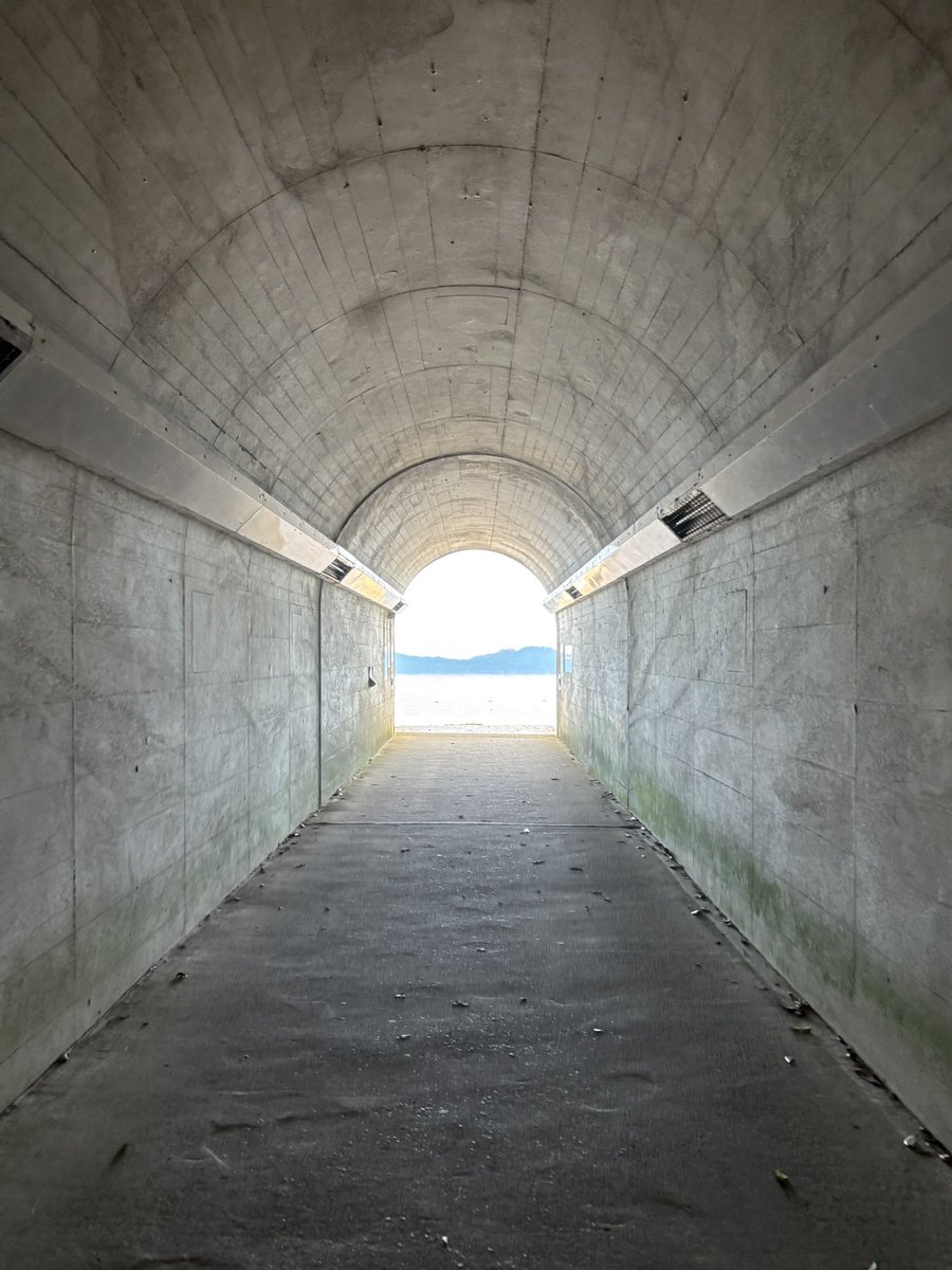 kemuri__14's tweet image. トンネルを抜けるとそこは海だった。