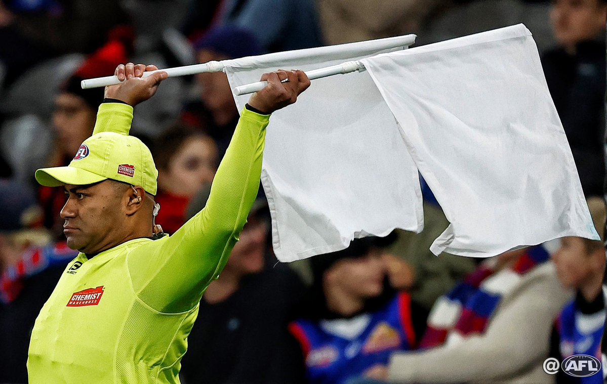 MichaelCWillson's tweet image. Nobody waves the flags like David Rodan! 🏳️ Congratulations on 300 games as a player and umpire 🙌